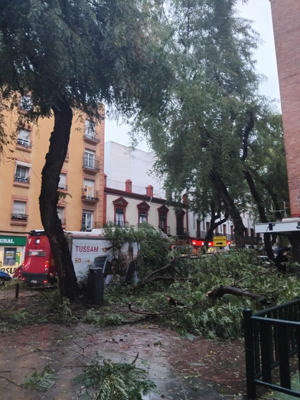 Calle San Jacinto.
