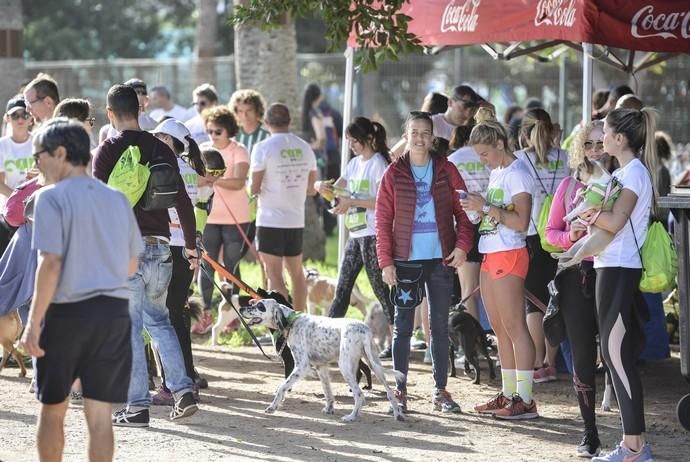 16/12/2018 LAS PALMAS DE GRAN CANARIA. Carrera ...