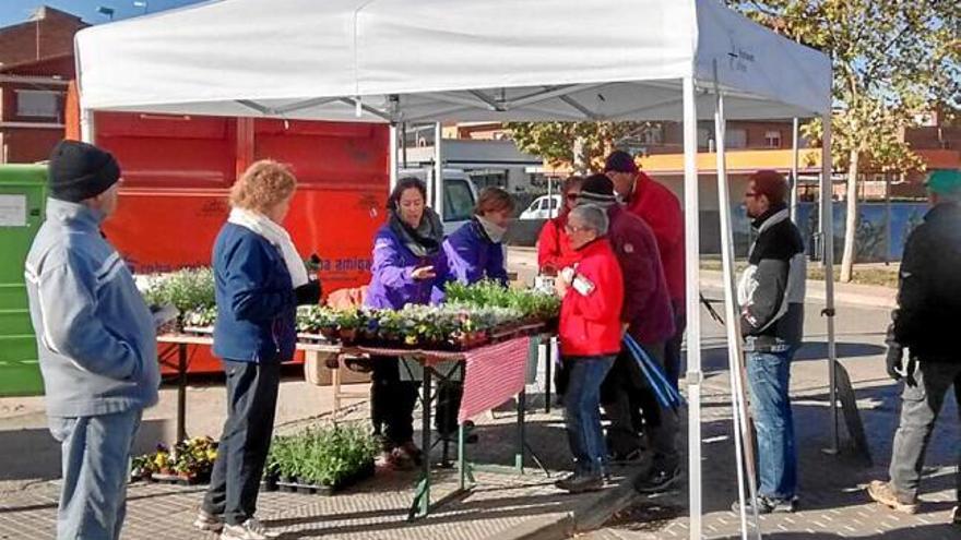 Parada per recollir plantes ubicada al costat de l&#039;escola bressol, ahir