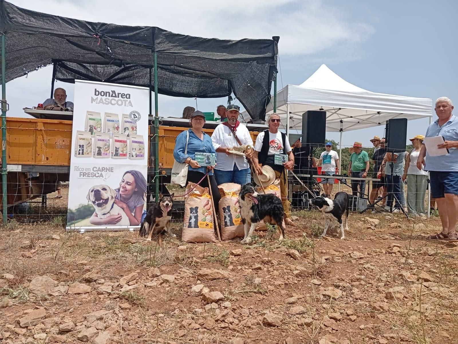 FOTOGALERÍA: Las imágenes del concurso de perros pastores de Ares del Maestrat