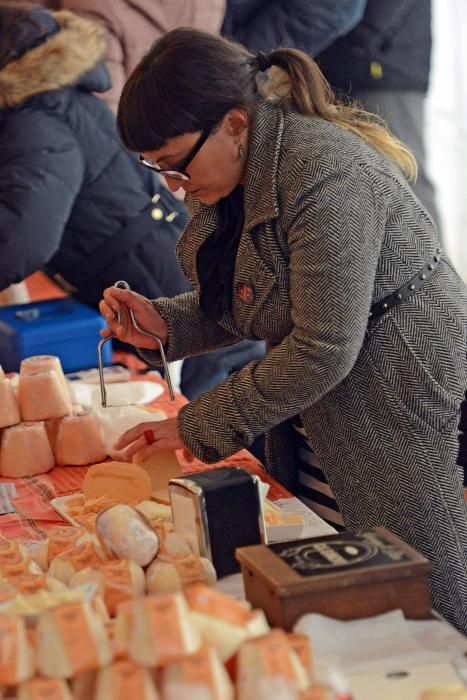 XXVII Certamen de Queso de Afuega'l Pitu en Morcín