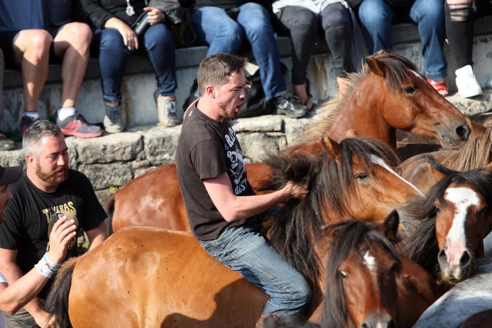 Sabucedo exhibe bravura en su Rapa das Bestas