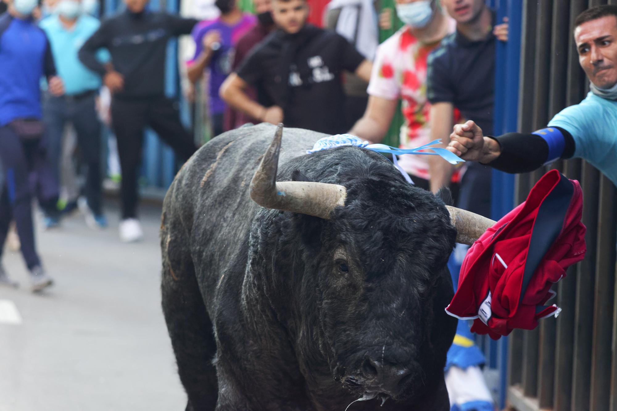 Las mejores fotos del primer día taurino de la Fira d'Onda 2021