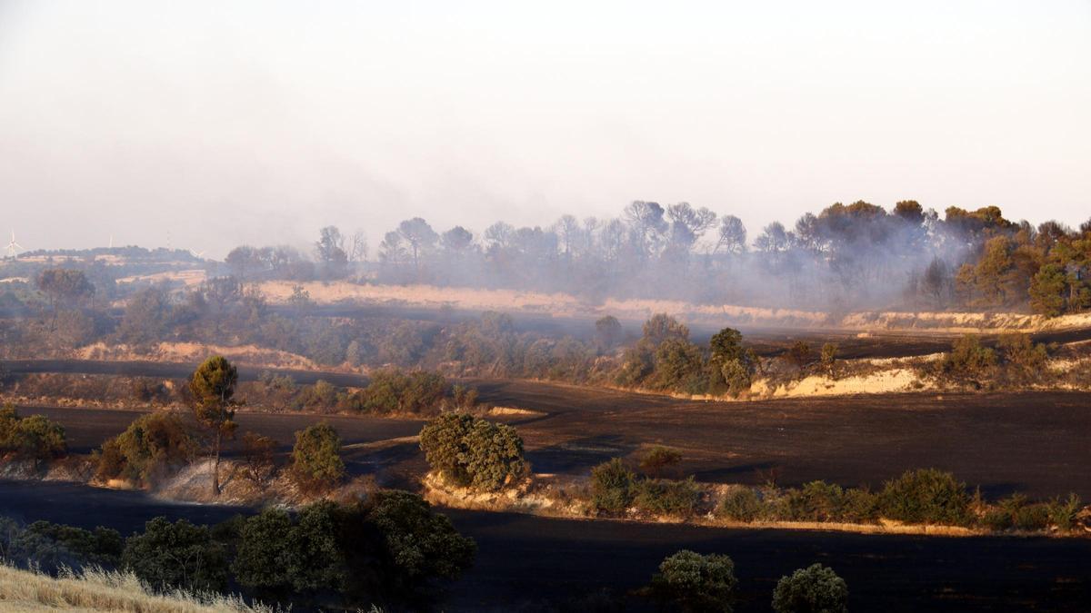 Camps de cereal cremats en l'incendi de la Segarra, al municipi de Talavera
