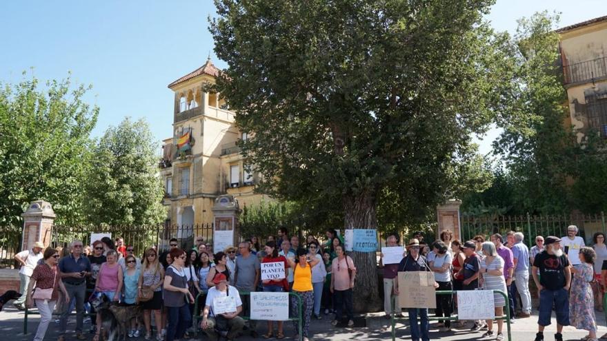 Concentración para salvar el olmo centenario de la Ronda del Marrubial