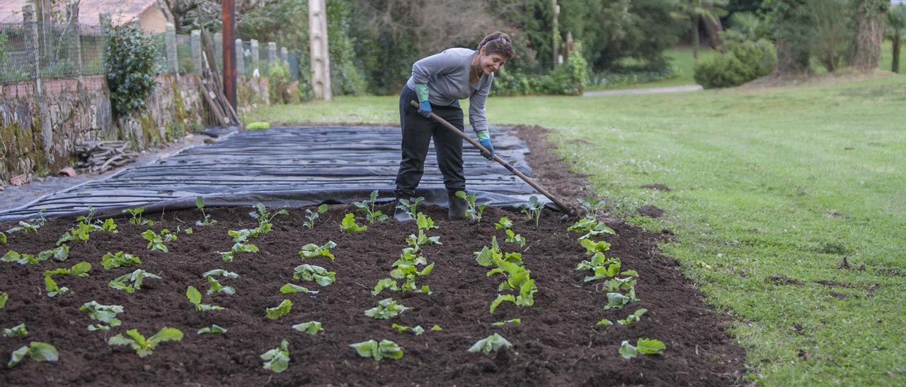 Una mujer cultivando su huerto.