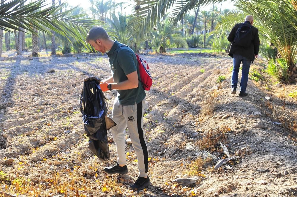 Limpieza de huertos para proteger el Palmeral