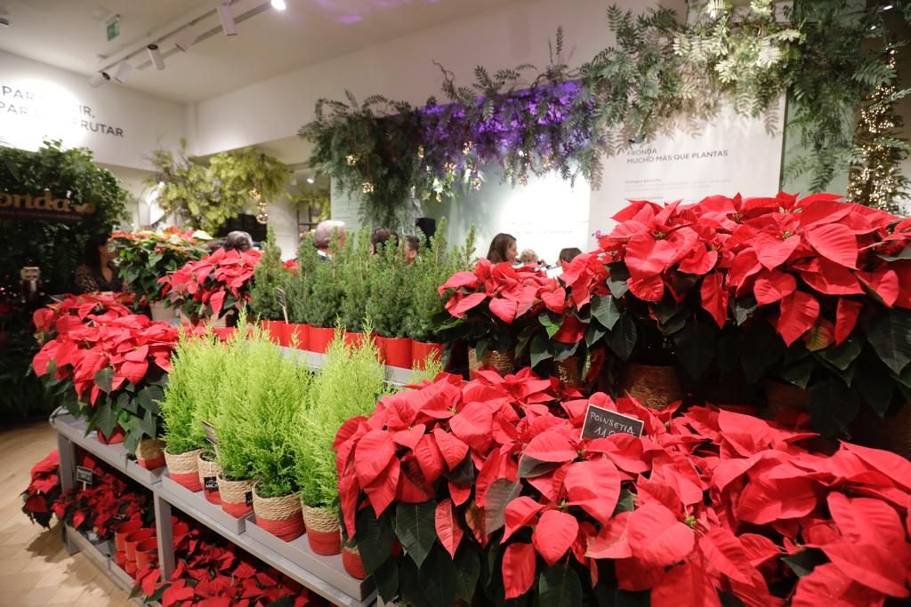 Las fotos de la inauguración de la nueva tienda de jardinería Fronda en el Palacio Avenida de Palma