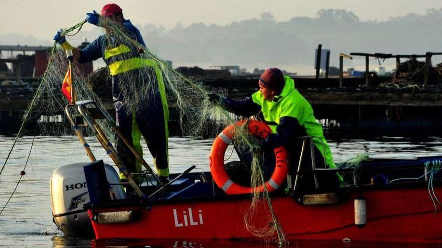 Dos marineros largan sus miños para la pesca del centollo, en aguas de la ría de Arousa. // Iñaki Abella