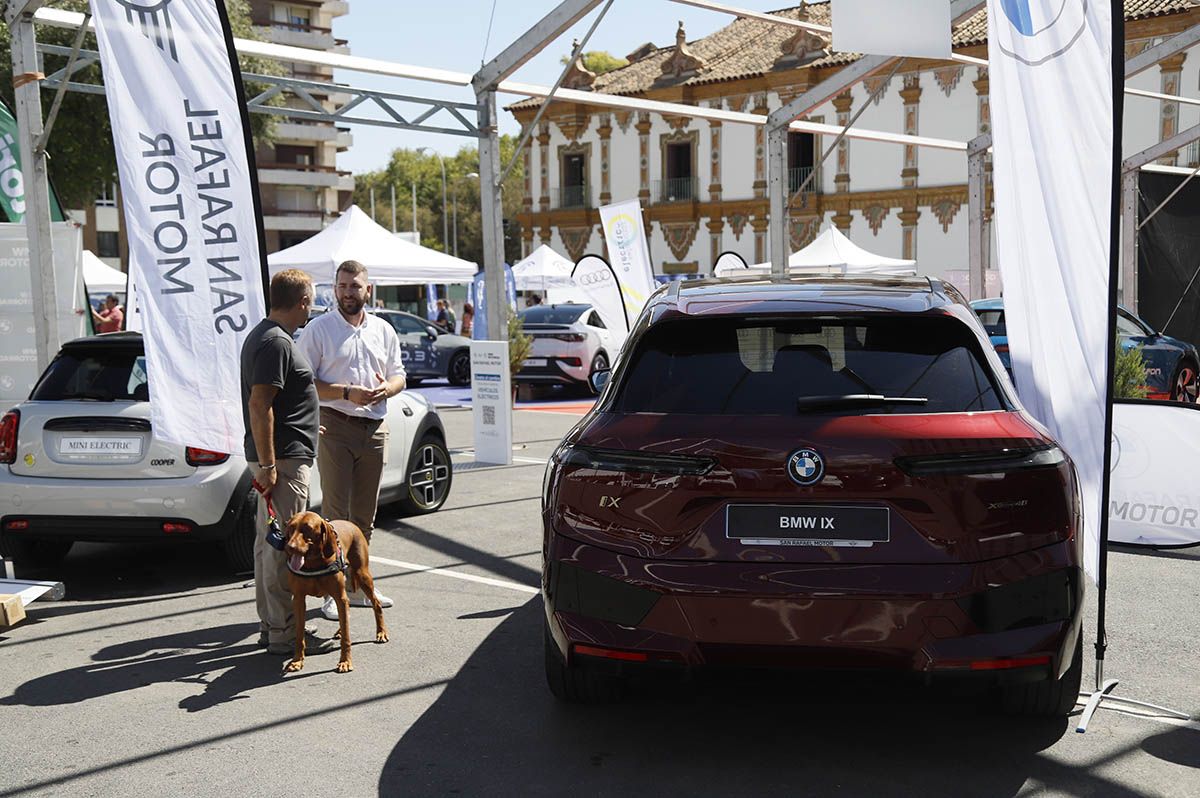 Exposición de los mejores vehículos eléctricos y eco en la Diputación de Córdoba