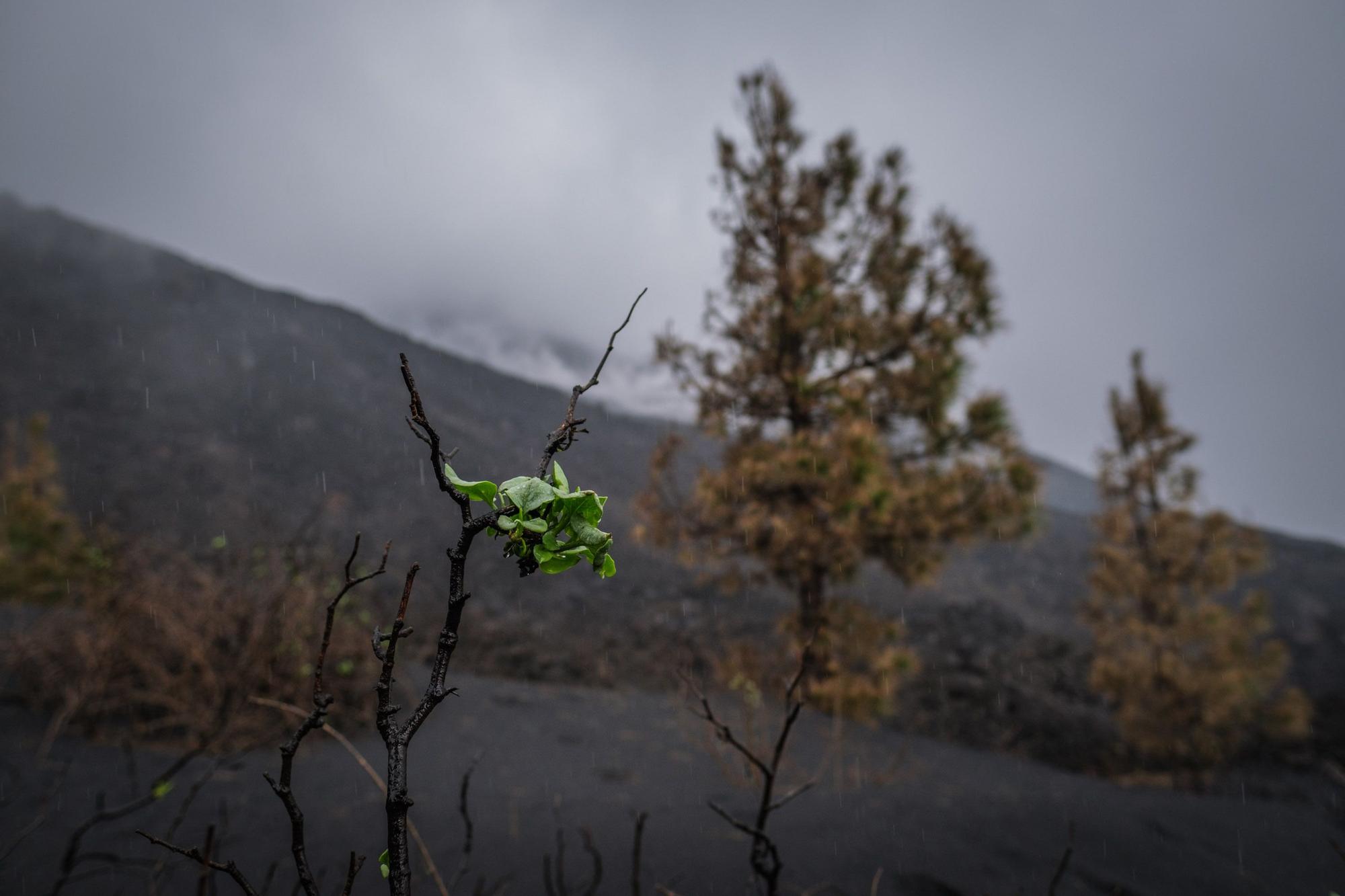 Los científicos dan cuatro días más para confirmar el final de la erupción en La Palma