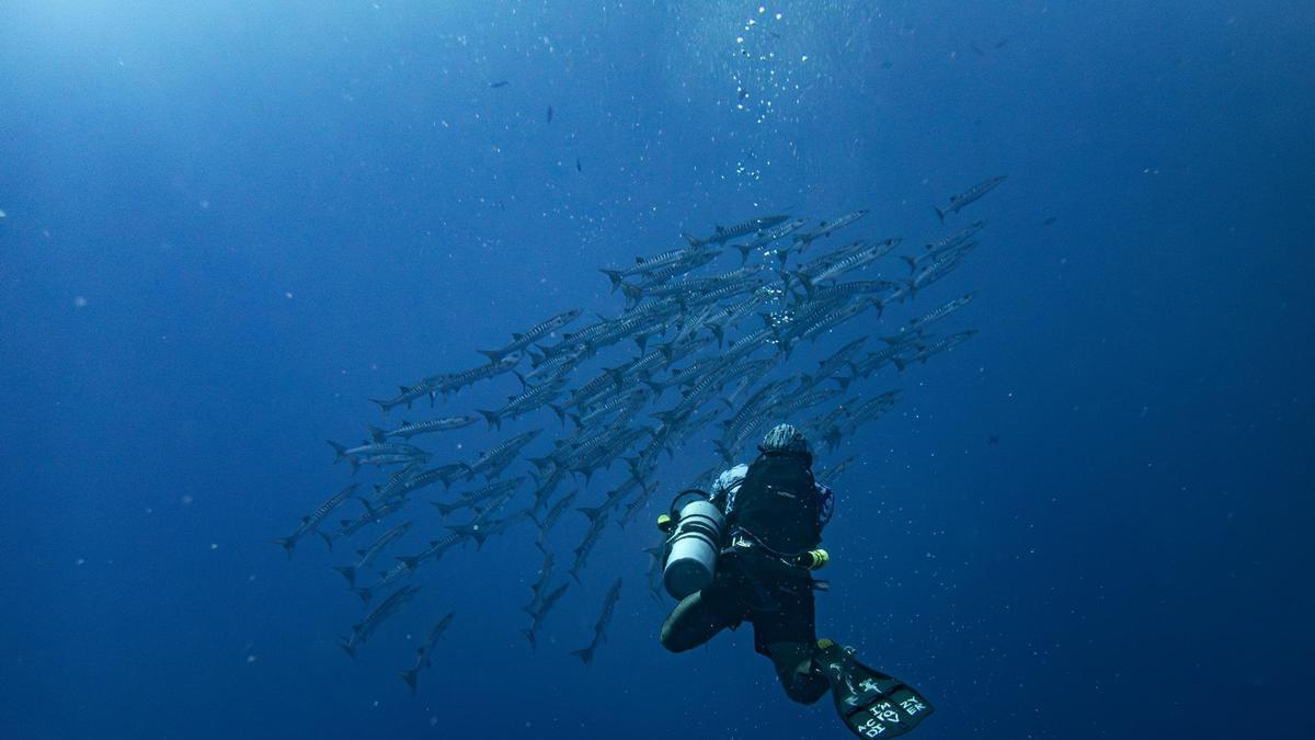 Una persona realitzant submarinisme