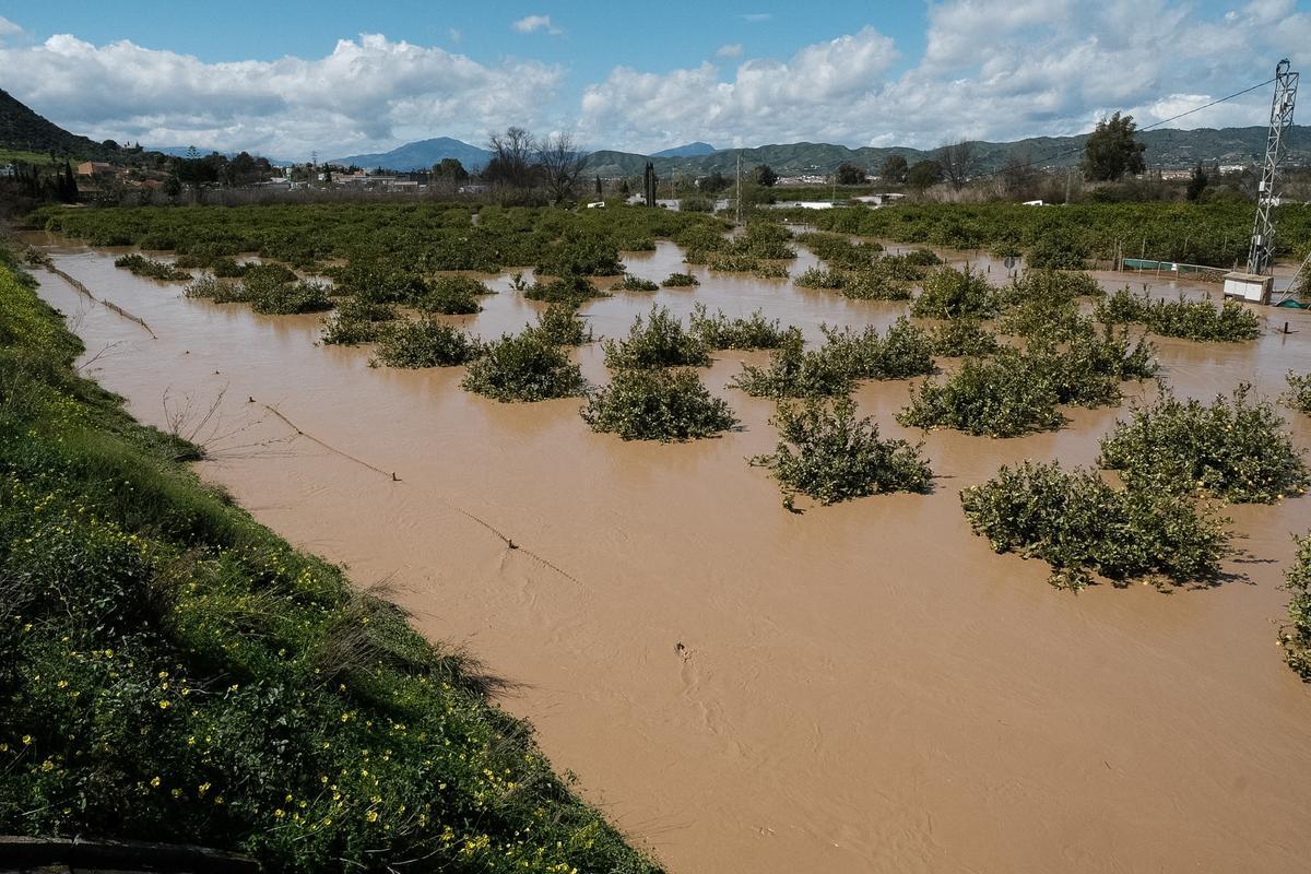 Inundaciones en Cártama tras desbordarse el río Guadalhorce