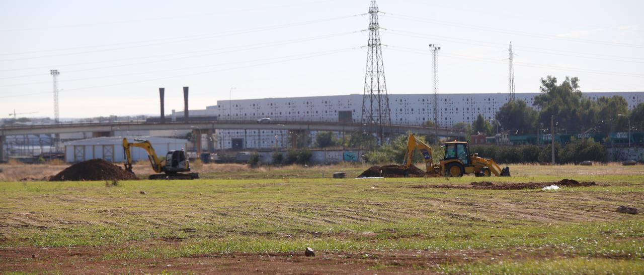 Terrenos que aún están sin urbanizar en el parque logístico de Córdoba, donde se instalará Amazon.