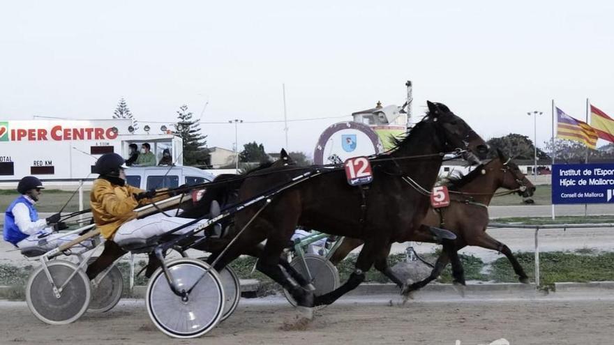 Francina JS conquista su tercer triunfo consecutivo en el Hipódromo de Manacor