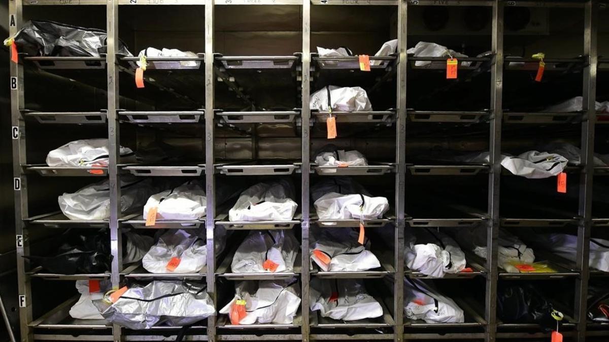 lmmarco36031820 topshot   body bags in the morgue at the pima county medical170811170400