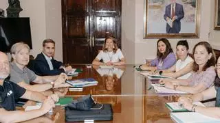 La violencia de género está detrás de seis de cada diez detenciones de la Policía Local de Castelló