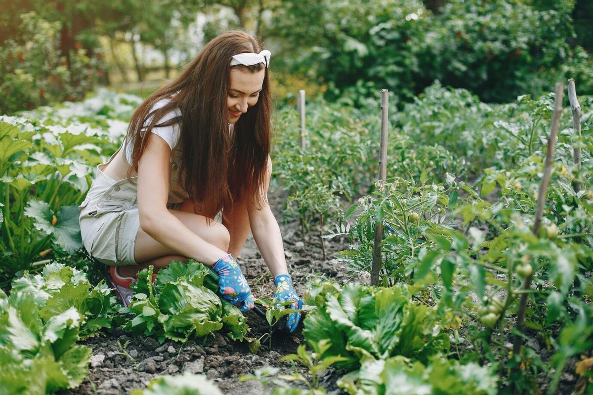 Una chica trabaja en un huerto ecológico.
