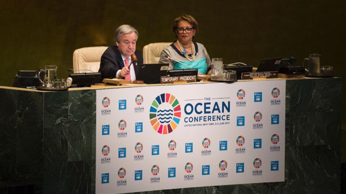 La ONU adopta finalmente su tratada para proteger los océanos
