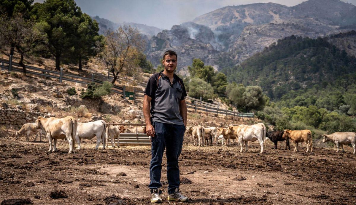 El rugit del foc que arrasa "el territori que estimes" El rugit del foc que arrasa "el territori que estimes"