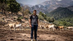 El rugit del foc que arrasa "el territori que estimes"