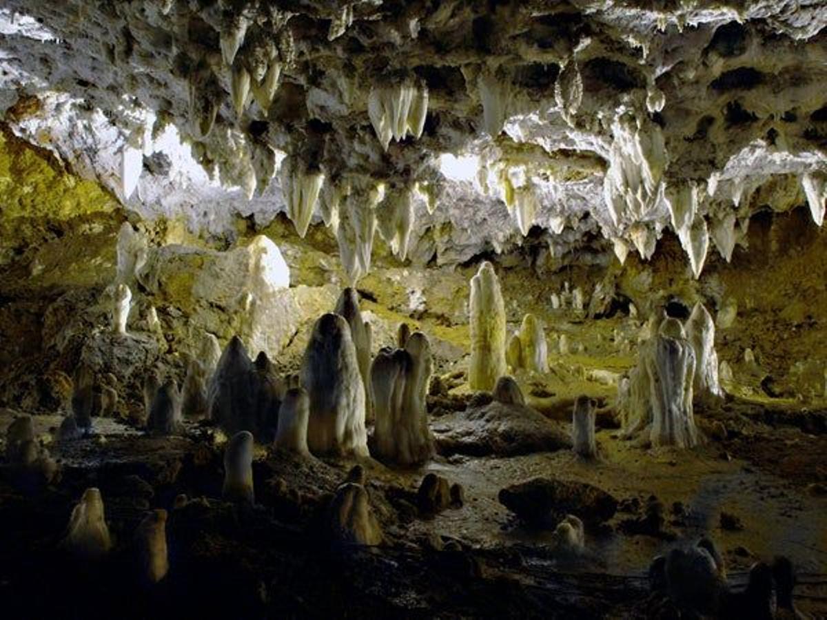 Las mejores imágenes de la Cueva de &quot;El Soplao&quot;