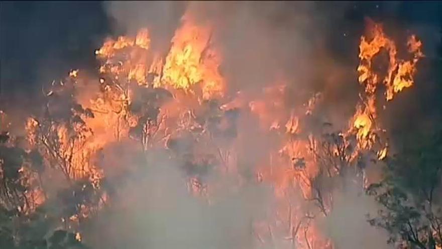 Una ola de incendios forestales asola el estado australiano de Victoria