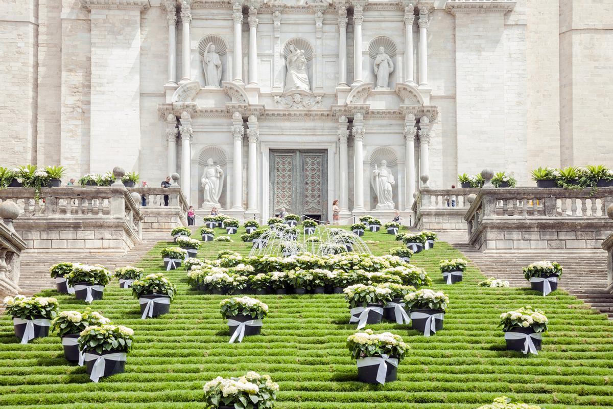Flores en Girona.