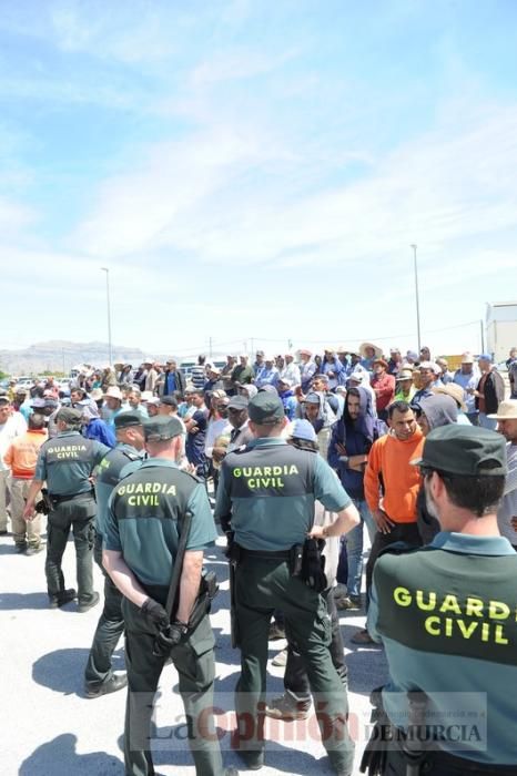 Protesta hortofrutícola en una empresa de El Raal