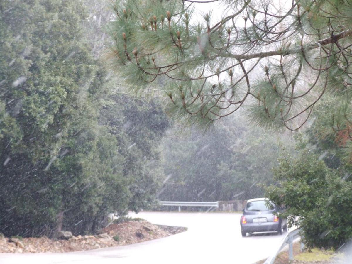 Se cumplen 14 años de la gran nevada en Mallorca de febrero de 2012, la segunda más importante de la historia