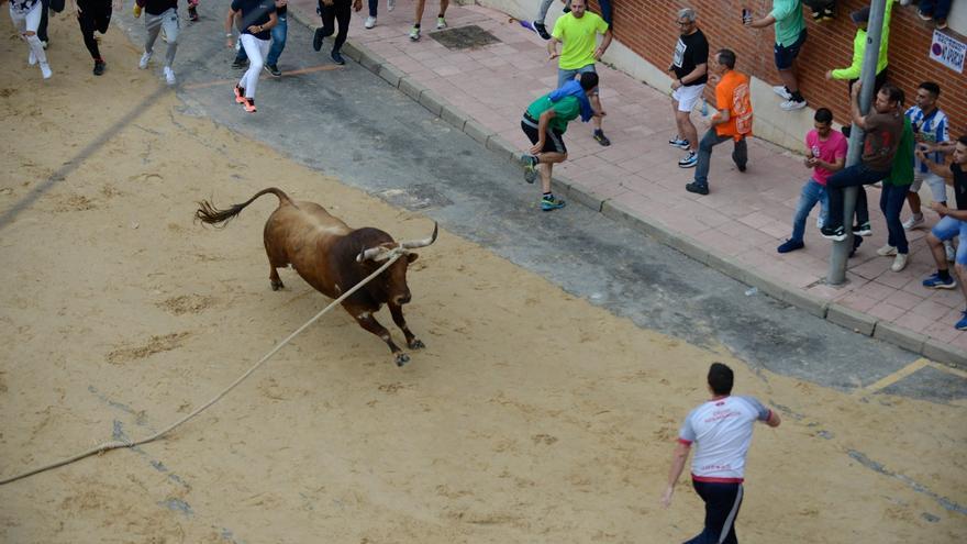 Resumen del recorrido del Toro Enmaromado de 2023 por las calles de Benavente