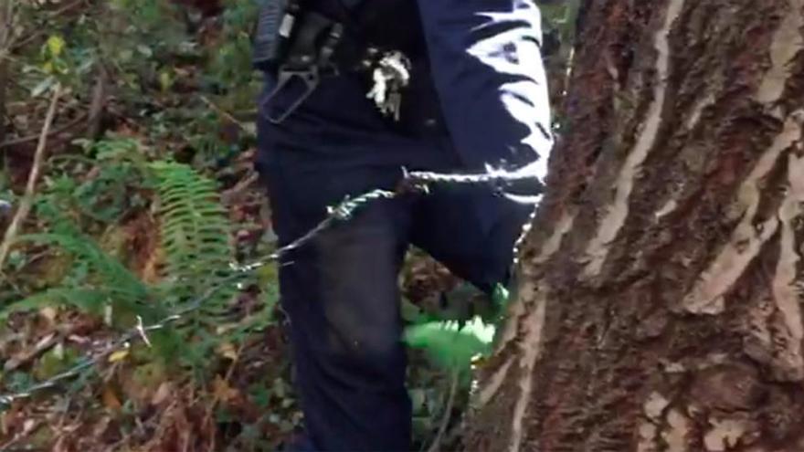 Descubren un alambre de espino &quot;a la altura del cuello&quot; en una ruta cicloturista de Mieres