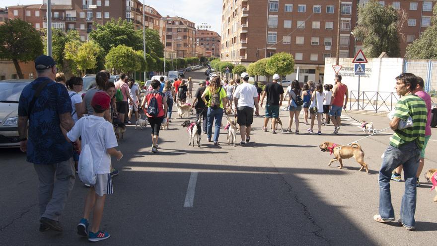 El seguro y los dueños de un perro que mató a otro perro en Benavente tendrán que pagar 3.000 euros por daños morales