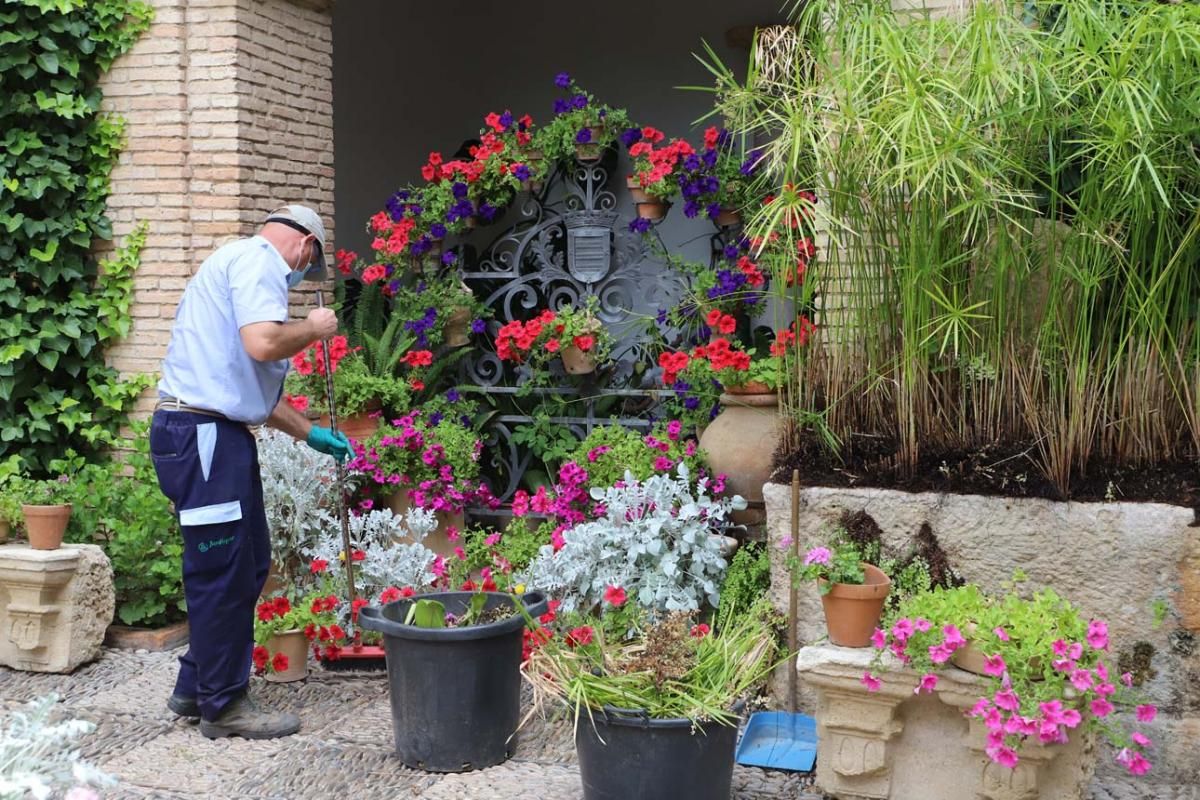 Los patios de Viana reabren tras su obligado confinamiento