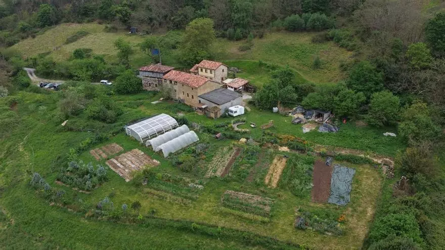 ADELANTADOS: El proyecto de vida sostenible que se impulsa desde la finca El Mandala