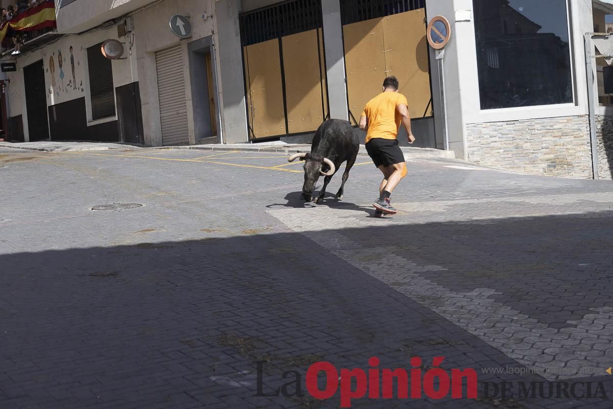 Cuarto encierro en las Fiestas de Moratalla