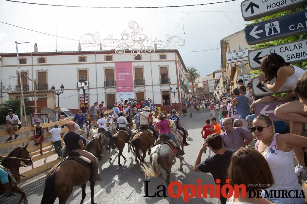 Séptimo encierro en Moratalla