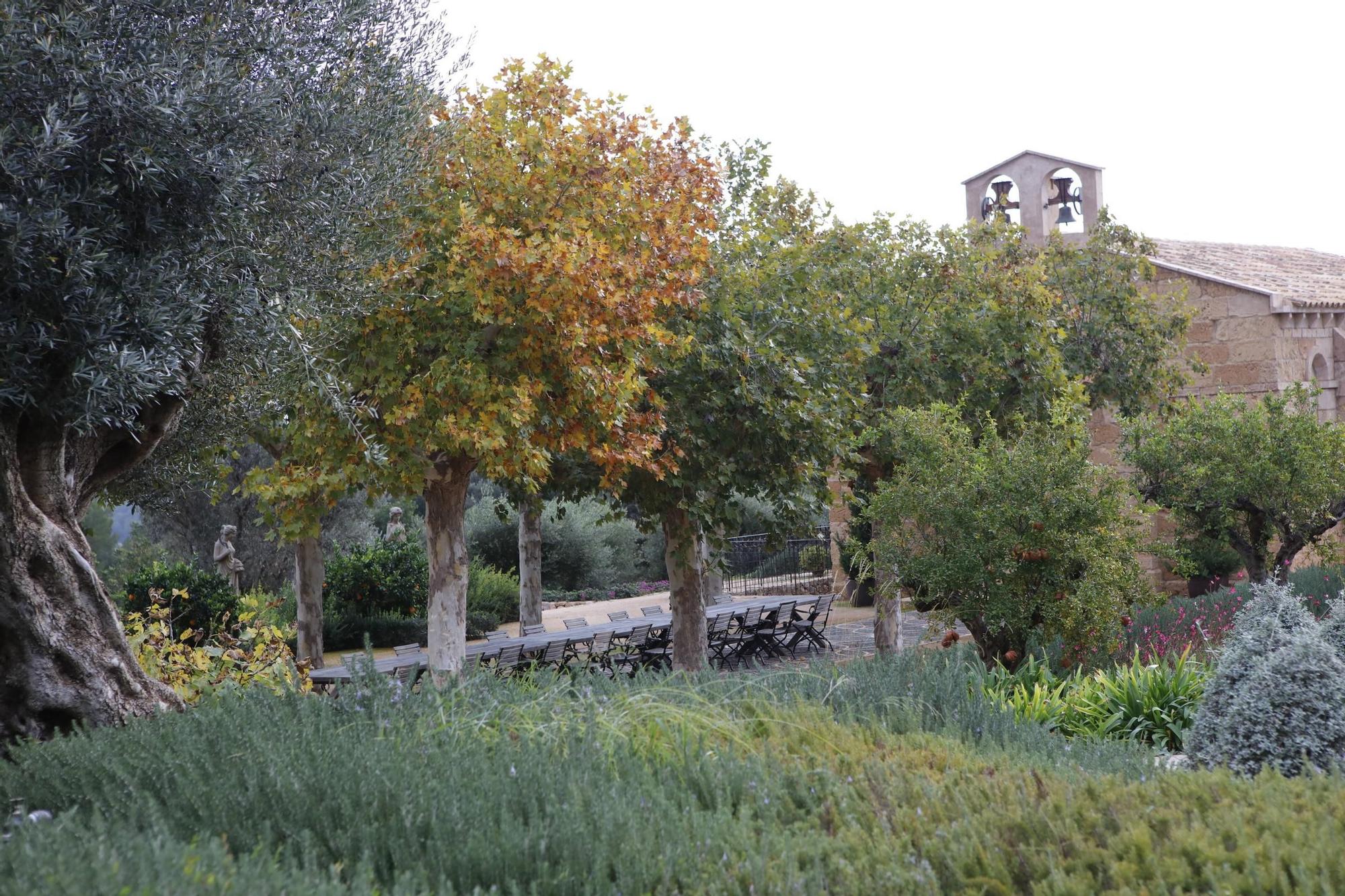 Ein Garten auf Mallorca ganz in Öko