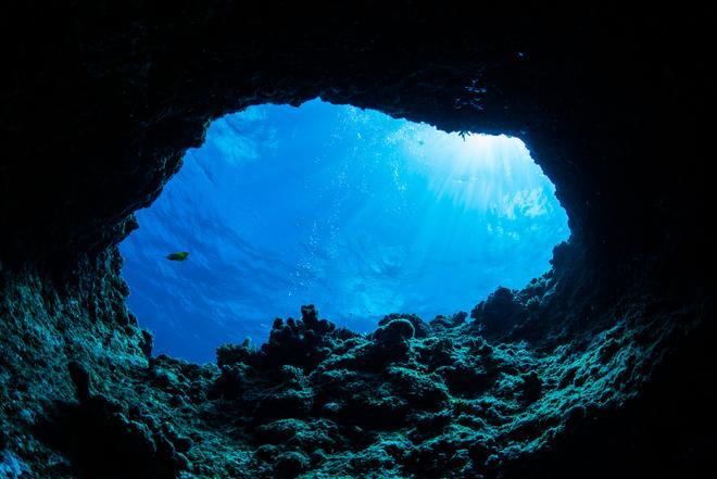 Este hábitat se encuentra en cuevas y pasadizos submarinos.