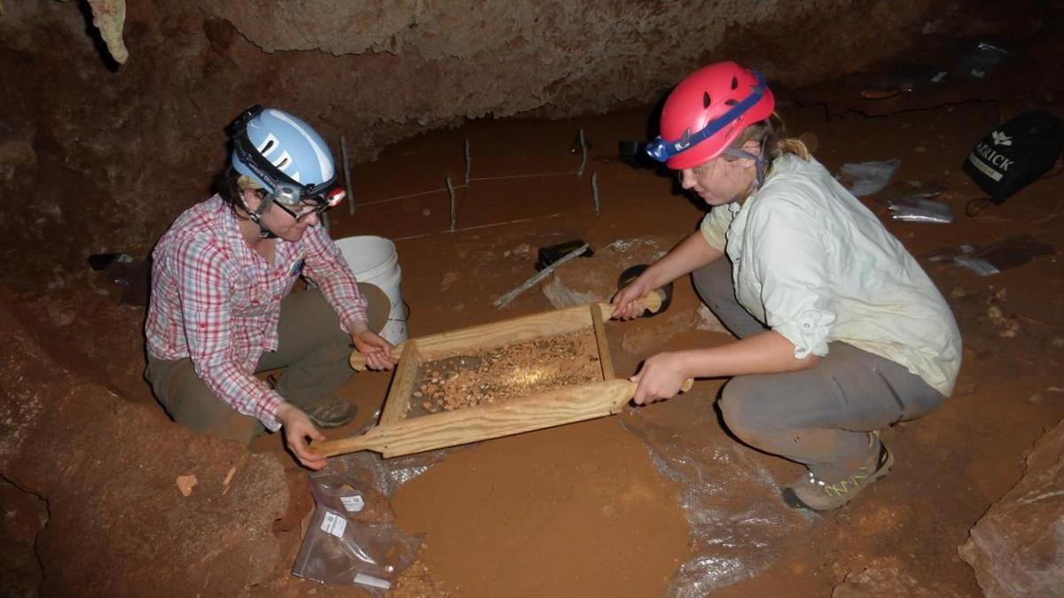 Estudio sobre extincion de mamiferos en el Caribe por influencia humana  Johns Hopkins paleontologist Siobhan Cooke and her colleague Alexis Mychajliw collect more fossils for dating in a Caribbean cave