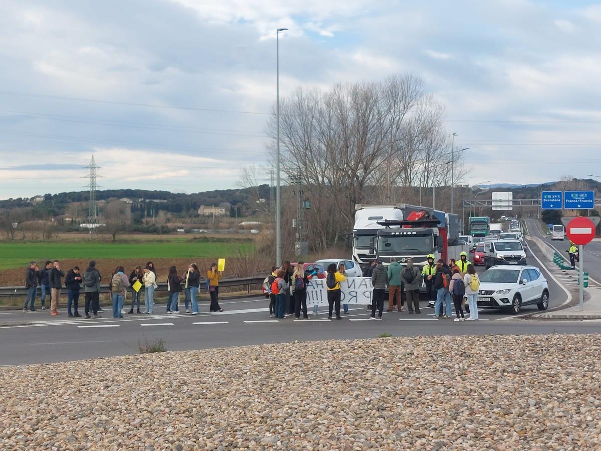 Les imatges de la vaga de professors a Salt