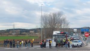 Les imatges de la vaga de professors a Salt