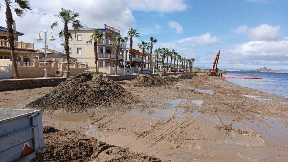 Recuperación de arena con la técnica del "remangado" en el litoral cartagenero.