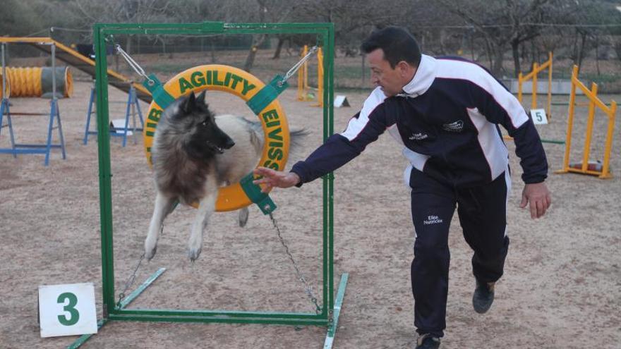 Toni Torres, durante una prueba de agility.