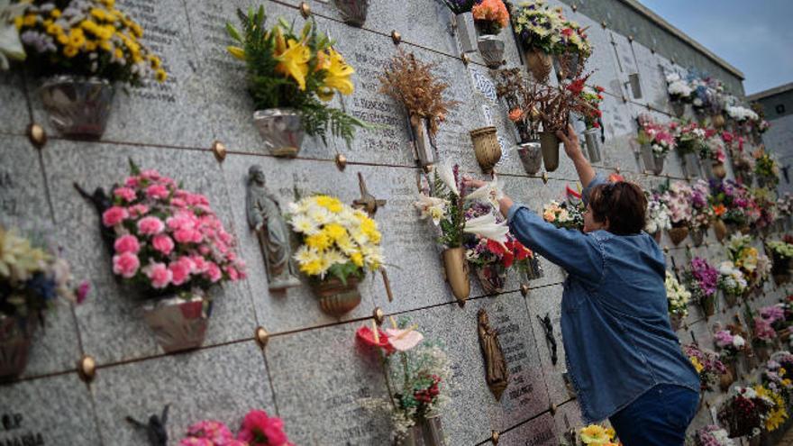 Una mujer enrama una zona de nichos del Cementerio de San Luis, el pasado año.