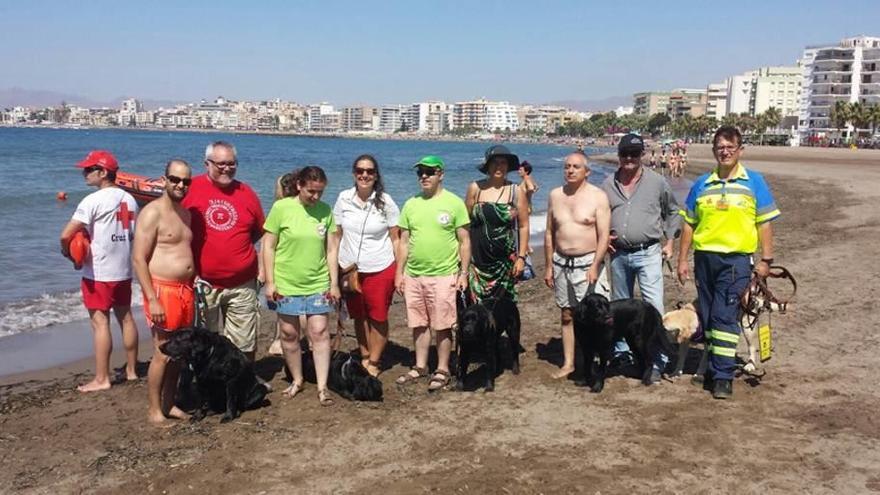 Los perros guía disfrutan de su primer baño &#039;sueltos&#039; en Águilas