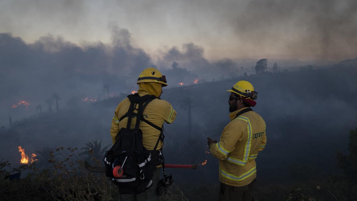 Incendio forestal en Viña del Mar