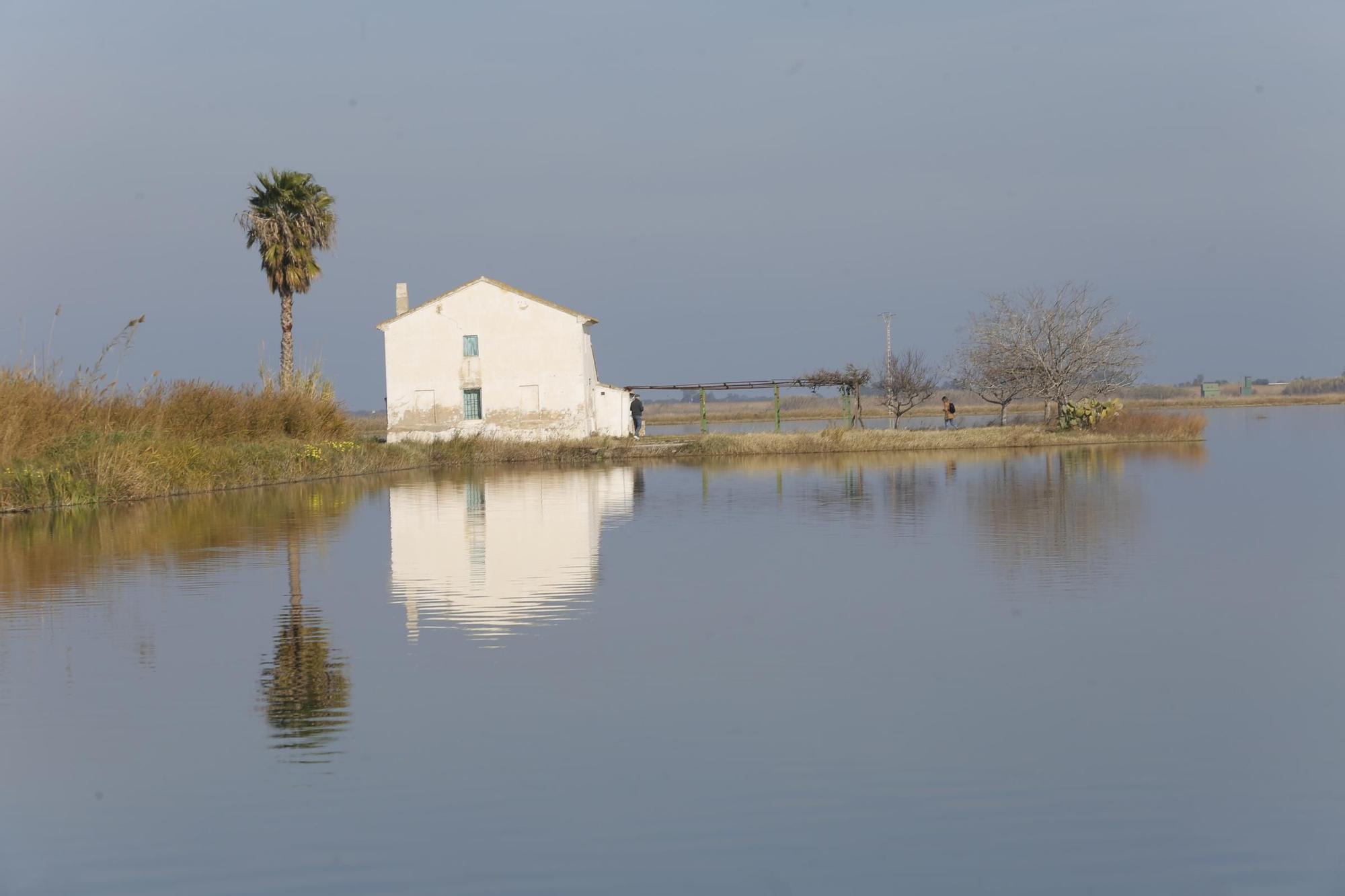 Las mejores imágenes de l'Albufera en el Día Mundial de los Humedales