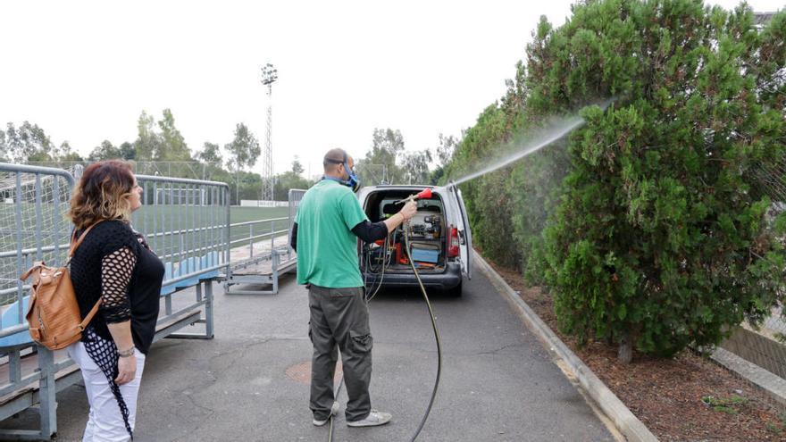 Trabajos contra los mosquitos en Mislata.