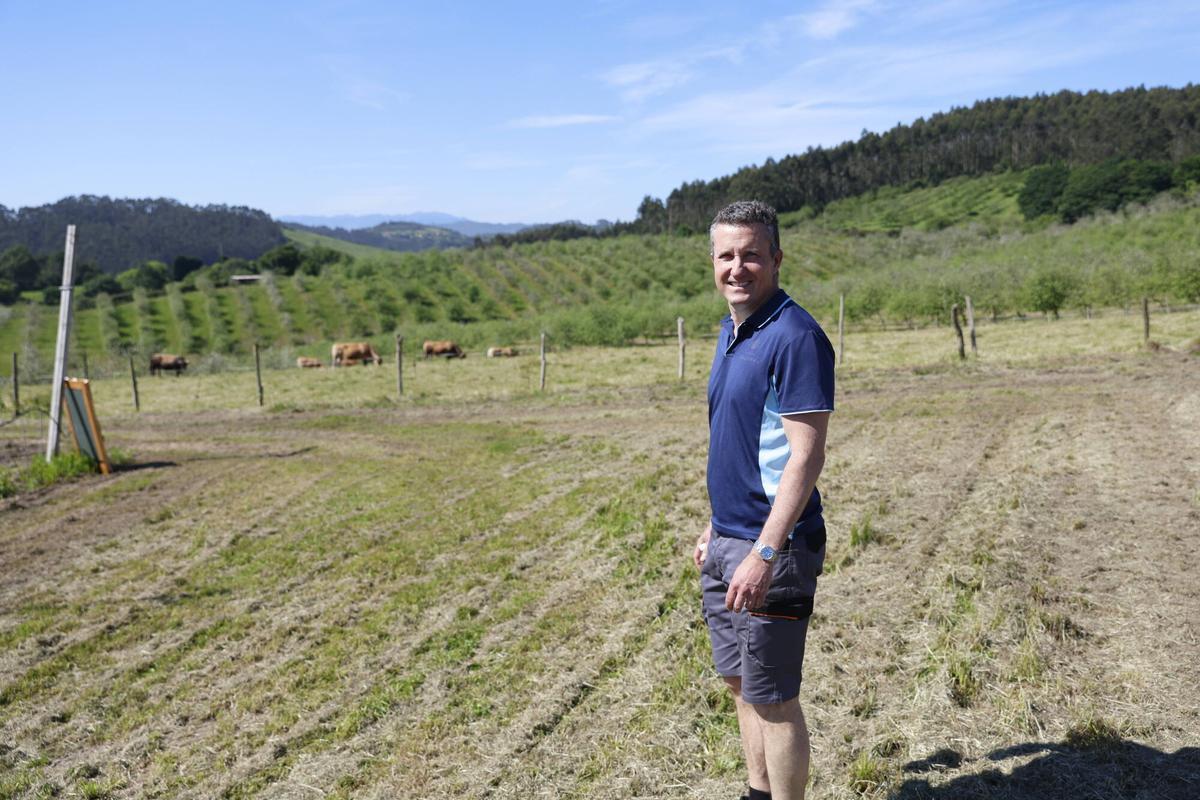 EN IMÁGENES: La Finca Gallinal abres sus puertas al "sidroturismos": una pumarada de 40 hectáreas y 20.000 manzanos